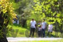 91精品国产观看在线麻豆制片-网络视频新风向，领略91精品国产在线麻豆的独特魅力