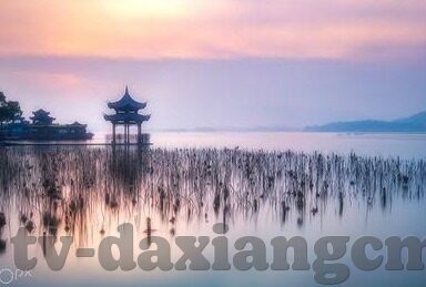 草莓麻豆av在线-让制作者爱上自己的儿童