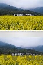 果冻传媒一天免费一次-探索果冻传媒的每日惊喜，一天免费一次的甜蜜时光