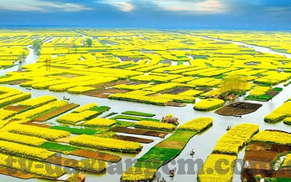 果冻视传媒免费版-探索果冻视传媒免费版，数字时代的娱乐新选择