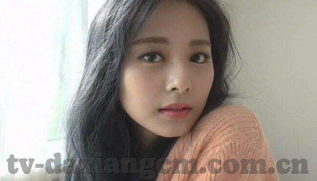 麻豆视频91视频-深度视角，互联网内容平台的多元维度与用户导向