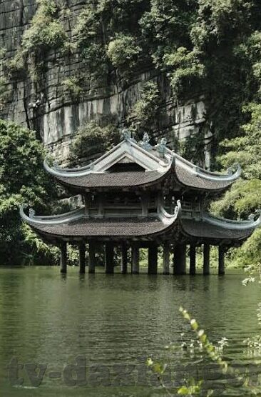 人妻中字精品-探索人妻中字精品的细腻情感世界